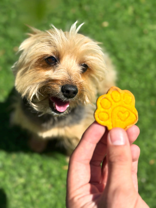 Pumpkin Treats